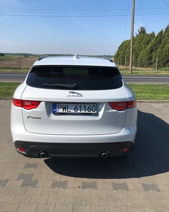 Jaguar F-Pace cena 130000 przebieg: 153400, rok produkcji 2018 z Osiek małe 46